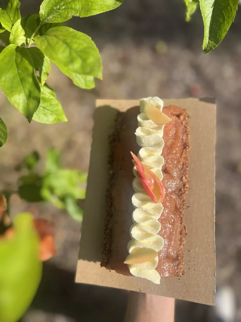 tarte tatin four solaire webp em'miam